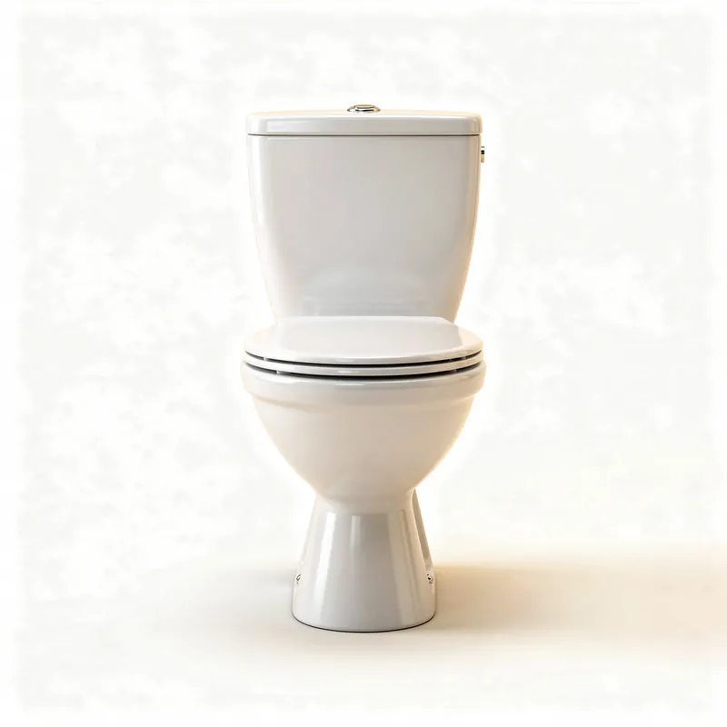 Remplacement de WC Paris12